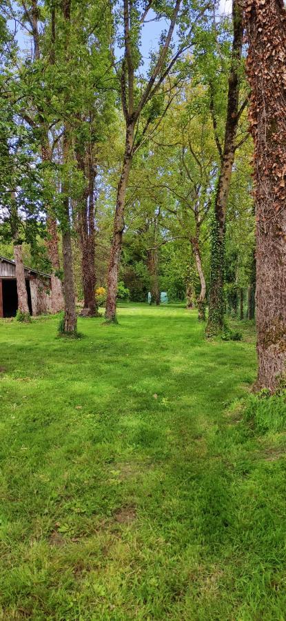 Le Gite De L'Ecurie Forges-la-Foret Eksteriør billede